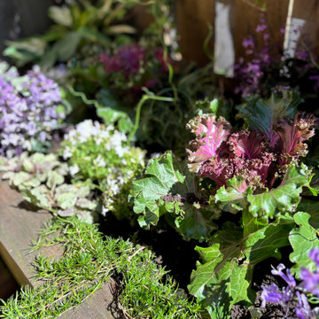 Lincoln Park Seasonal Container Garden