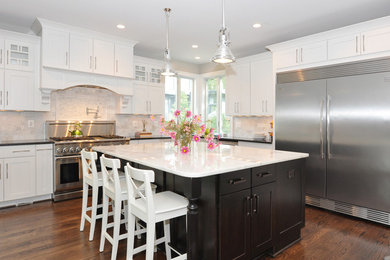 Kitchen - transitional kitchen idea in DC Metro