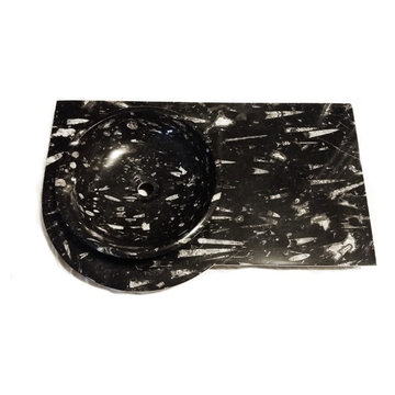Meditative Marine Ritual Natural Fossil Stone Powder Room Sink