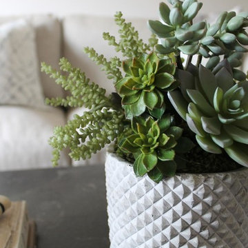 Coastal Condo