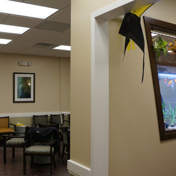 Aquarium Wall Divider in Cranford, New Jersey