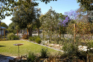 Inspiration for a contemporary garden in Adelaide.