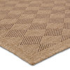Vibe by Jaipur Living Amanar Indoor/Outdoor Tribal Brown Area Rug 9'X12'