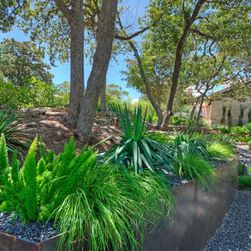 Shade Garden