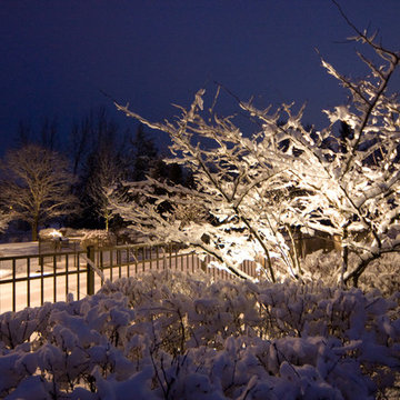 Winter Wonderland Lighting