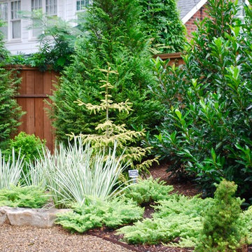 Selwyn Project: Backyard revisited