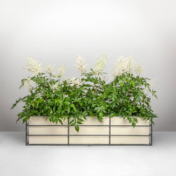 Window Boxes - Outdoor Plant Pots & Planters