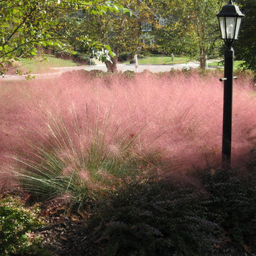 Plantings