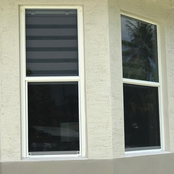 Zebra Illusion Shades - Wilton Manors, Florida