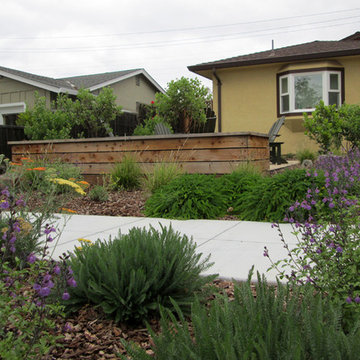 Miller Residence - Cambrian Neighborhood