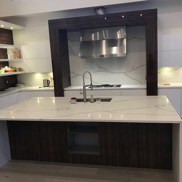 Danny's Customize home