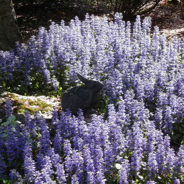 The Beauty of Mother Nature