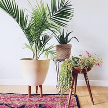 Office 1105