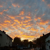 Foto von Fred J
