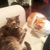 Maria Elisabeta's photo