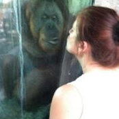 Foto von Terri Mooney