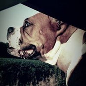 Amanda Noren's photo