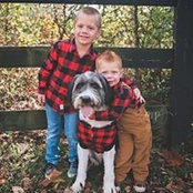 Melissa Lohman Moss's photo