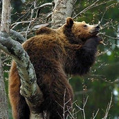 Steven Wolf's photo