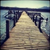 هدى الشاذلي's photo