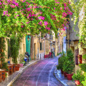 Debby Crooks's photo