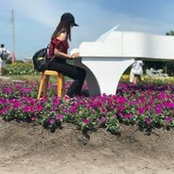 Carmen Chan's photo