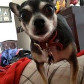 Frank Espinoza's photo