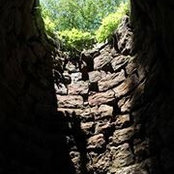 Teri Freed Liles's photo