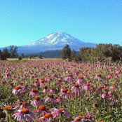 Brittney Manzagol's photo