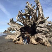 Virginia Cook's photo