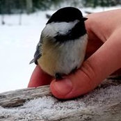 Bronwyn Umphrey's photo