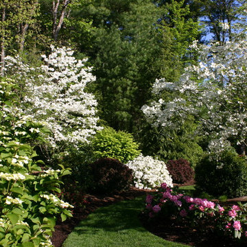 Farmington, Ct. landscape 1