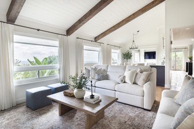 Inspiration for a transitional living room remodel in Los Angeles