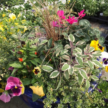 Planters