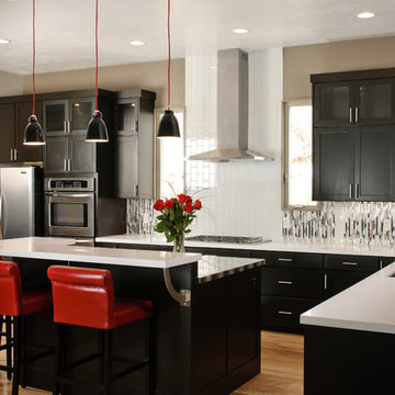 Contrasting Contemporary Kitchen Remodel