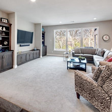 MEDIA ROOMS