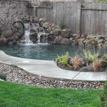 Lagoon Styles Pools and Features