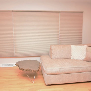 Duette Architella PowerView top-down/bottom up honeycomb shades.