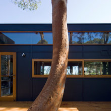 window ideas