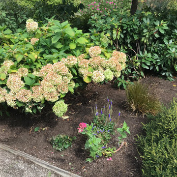 Garden cleanup