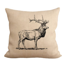 Living Room - Decor