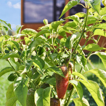 La vie au jardin | Garden Living