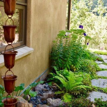 Rain Garden