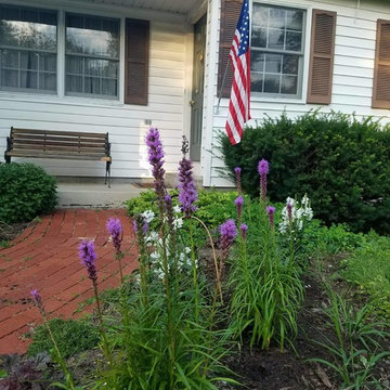 Low Maintenance Wildlife Garden in New York's Capitol Region