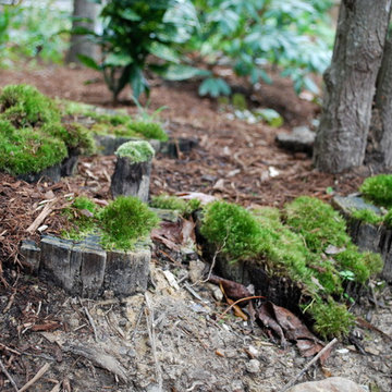 Asian Inspired Woodland Garden