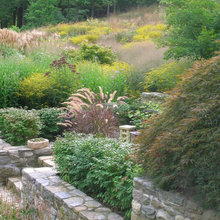 2 Landscape Design