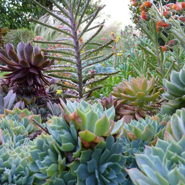 Test Garden
