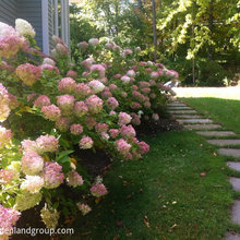 Landscaping ideas