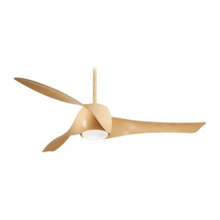 Ceiling fans