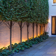Outdoor lighting